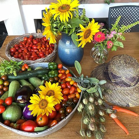 Agriturismo Podere Prasiano Marano sul Panaro Dış mekan fotoğraf