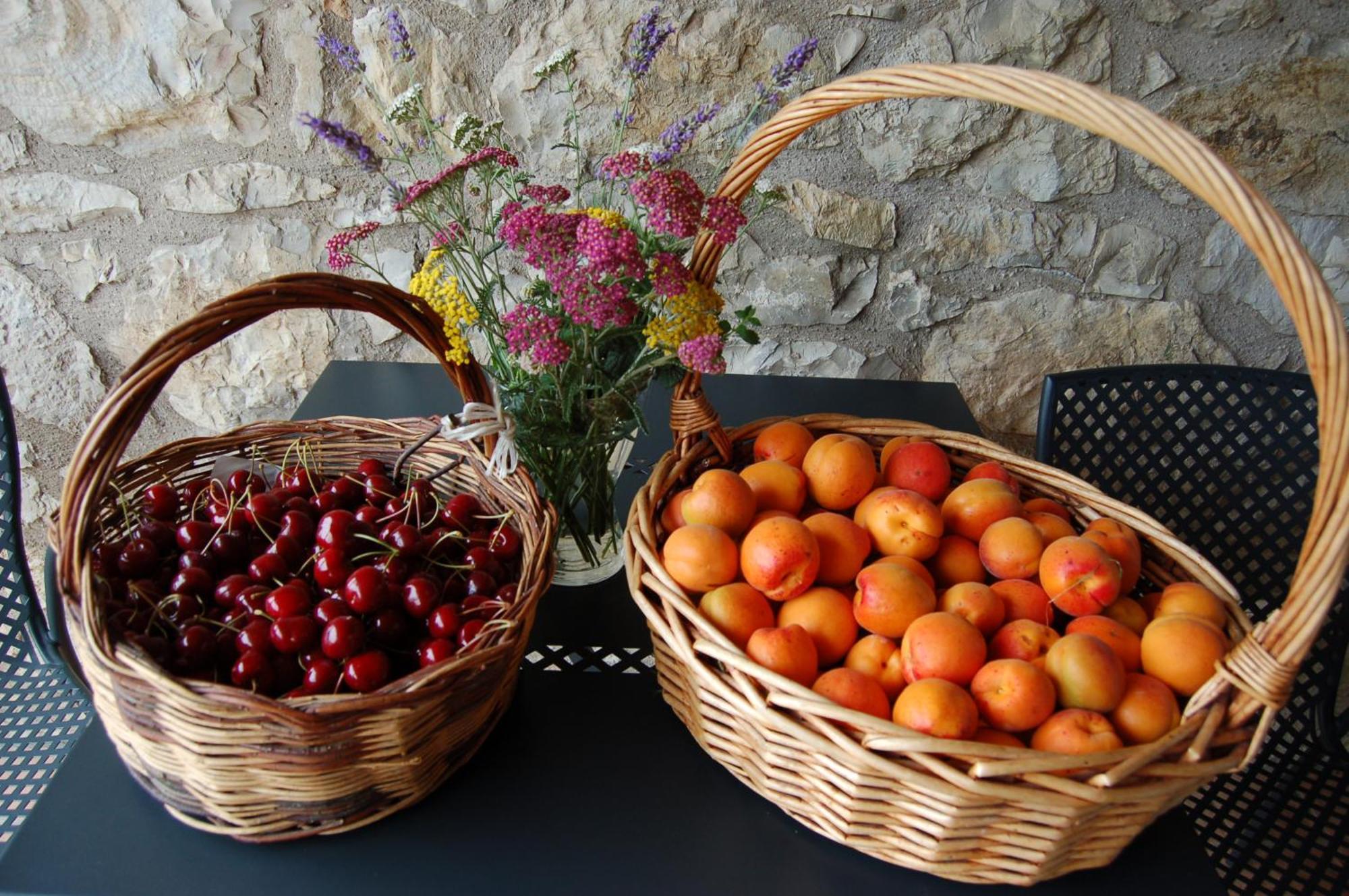 Agriturismo Podere Prasiano Marano sul Panaro Dış mekan fotoğraf