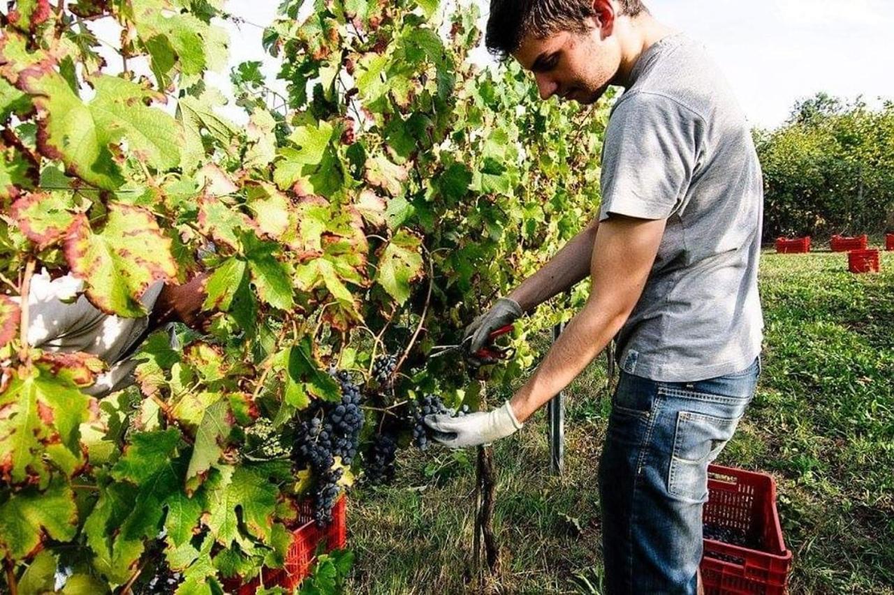 Agriturismo Podere Prasiano Villa Marano sul Panaro Dış mekan fotoğraf