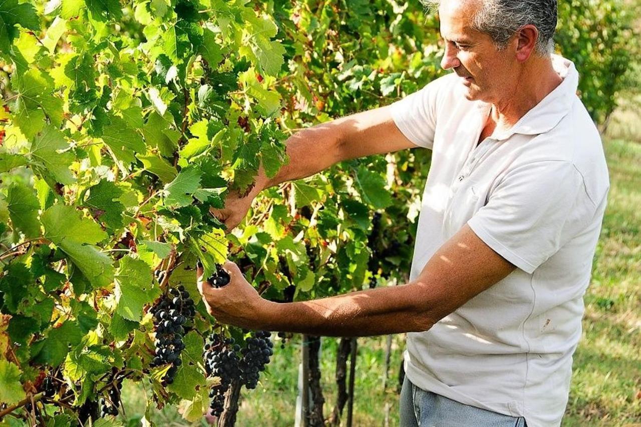 Agriturismo Podere Prasiano Marano sul Panaro Dış mekan fotoğraf